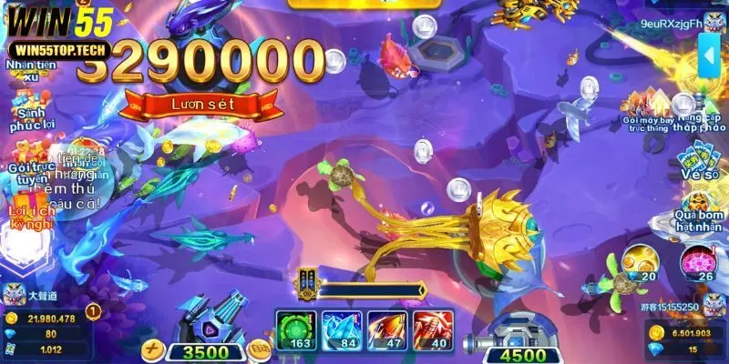 Chiến thuật săn cá của người chơi kinh nghiệm 