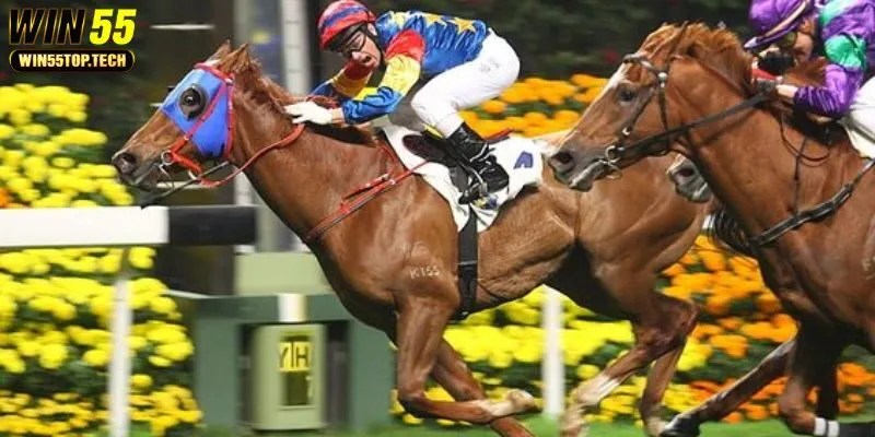 Các hình thức cá cược được ưa chuộng nhất