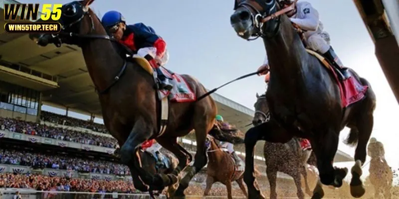 Các vấn đề cần lưu ý khi tham gia